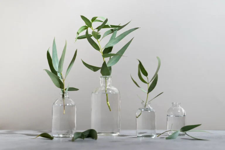 eucalyptus leaves in glass bottles